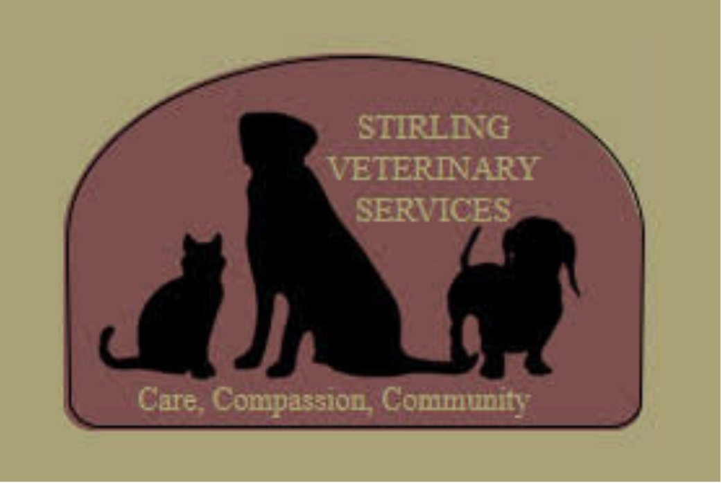 Stirling Veterinary Services U17 Onyx Bronze