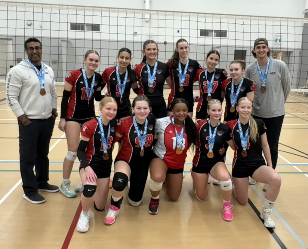 17 impact bronze